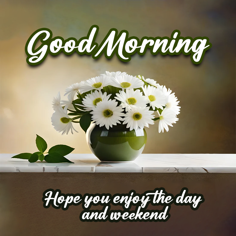 Daisy Flower Good Morning